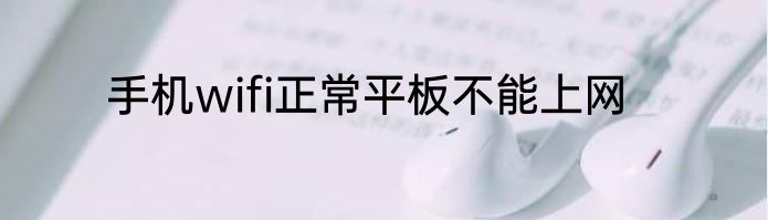手机wifi正常平板不能上网