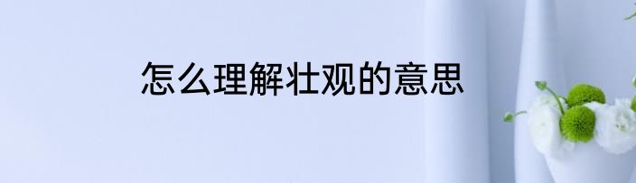 怎么理解壮观的意思