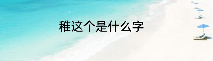稚这个是什么字