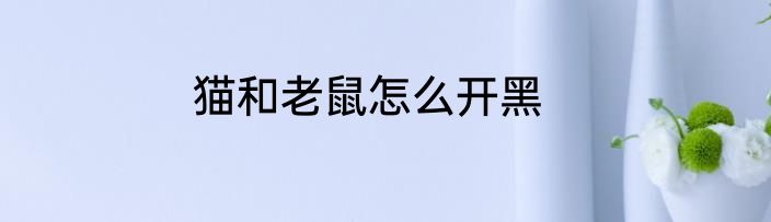 猫和老鼠怎么开黑