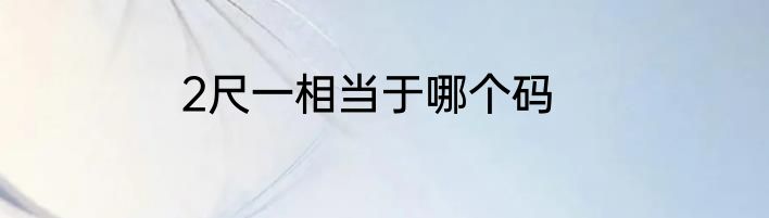 2尺一相当于哪个码