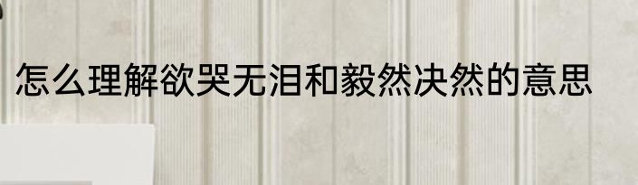 怎么理解欲哭无泪和毅然决然的意思