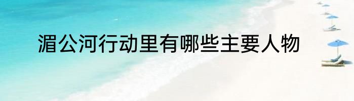 湄公河行动里有哪些主要人物
