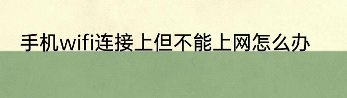 手机wifi连接上但不能上网怎么办