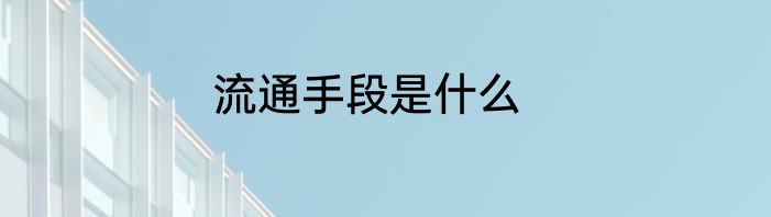 流通手段是什么