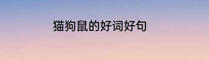 猫狗鼠的好词好句