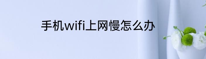 手机wifi上网慢怎么办