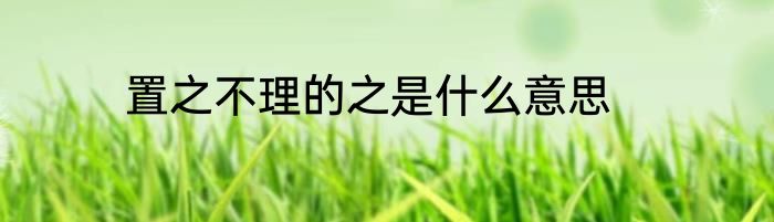 置之不理的之是什么意思