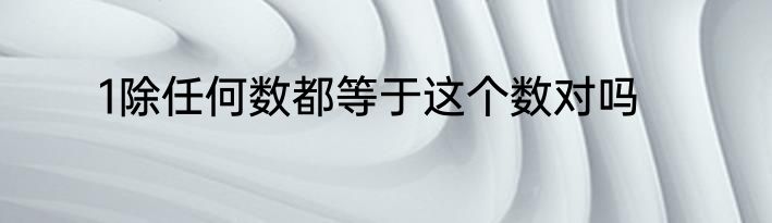 1除任何数都等于这个数对吗