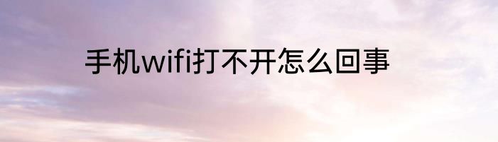 手机wifi打不开怎么回事