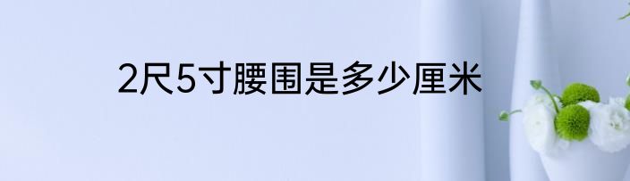 2尺5寸腰围是多少厘米