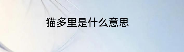猫多里是什么意思
