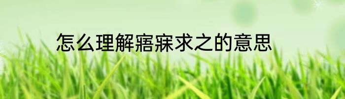 怎么理解寤寐求之的意思