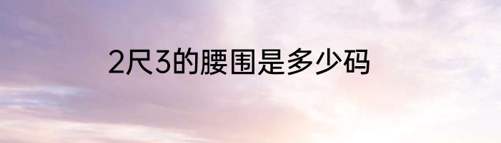 2尺3的腰围是多少码
