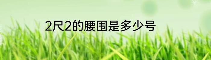 2尺2的腰围是多少号