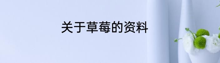 关于草莓的资料