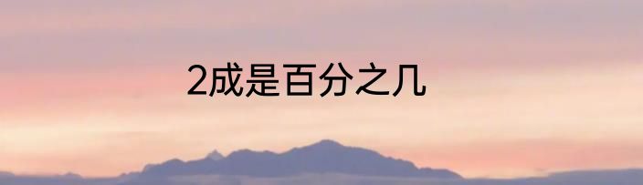 2成是百分之几