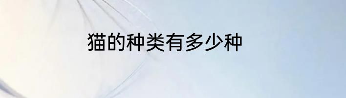 猫的种类有多少种