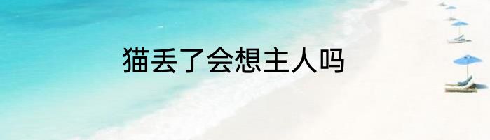 猫丢了会想主人吗