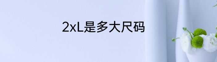 2xL是多大尺码