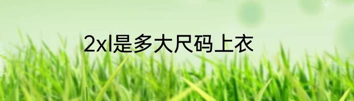2xl是多大尺码上衣