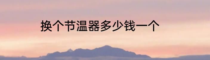 换个节温器多少钱一个
