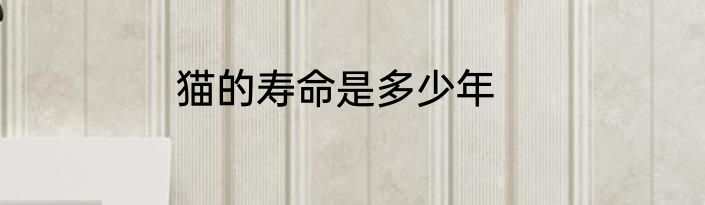 猫的寿命是多少年