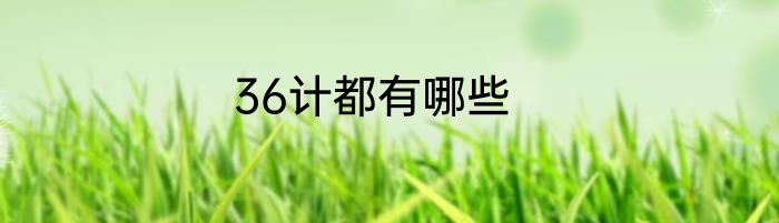 36计都有哪些