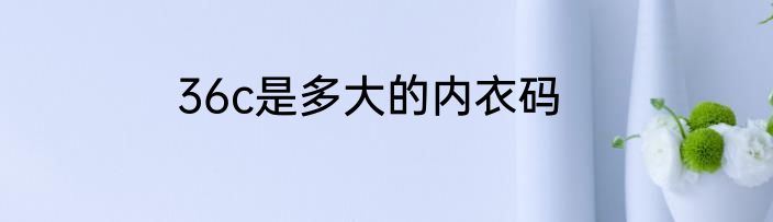 36c是多大的内衣码