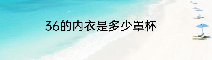 36的内衣是多少罩杯