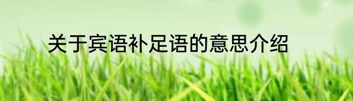 关于宾语补足语的意思介绍