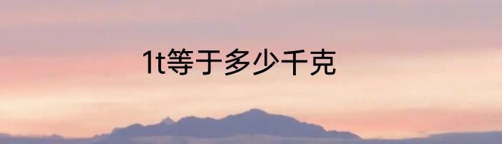 1t等于多少千克