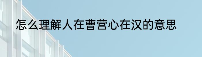 怎么理解人在曹营心在汉的意思