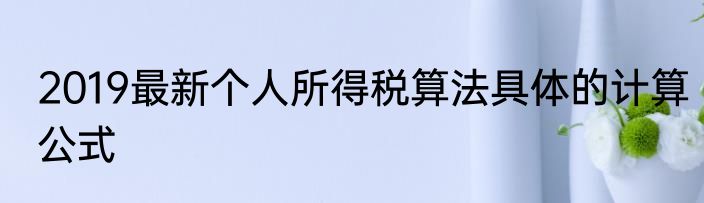 2019最新个人所得税算法具体的计算公式