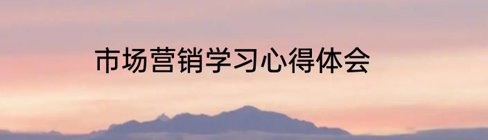 市场营销学习心得体会