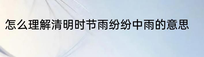 怎么理解清明时节雨纷纷中雨的意思