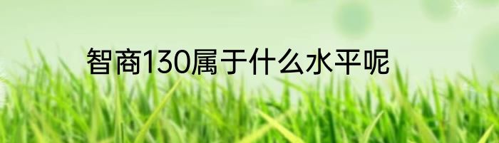 智商130属于什么水平呢