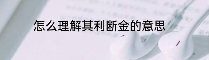 怎么理解其利断金的意思