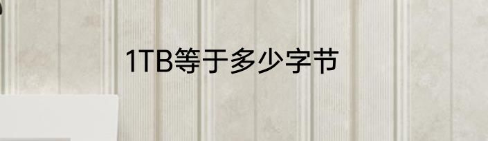 1TB等于多少字节