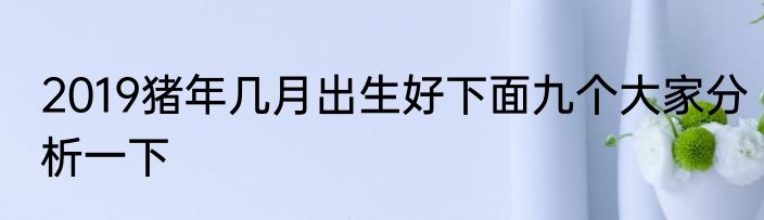 2019猪年几月出生好下面九个大家分析一下