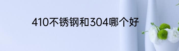 410不锈钢和304哪个好
