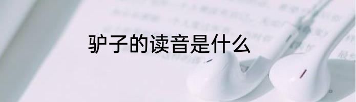 驴子的读音是什么