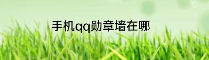 手机qq勋章墙在哪