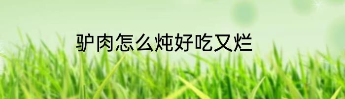 驴肉怎么炖好吃又烂