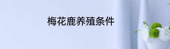 梅花鹿养殖条件