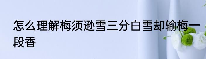 怎么理解梅须逊雪三分白雪却输梅一段香