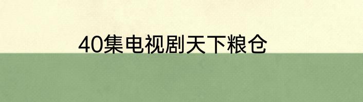 40集电视剧天下粮仓