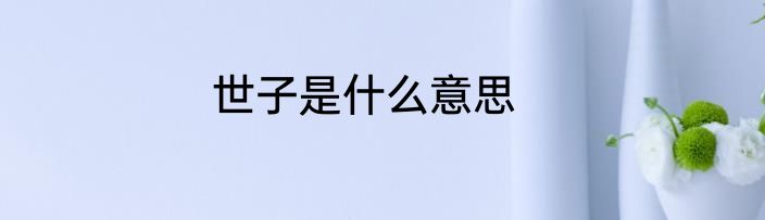 世子是什么意思
