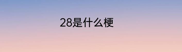 28是什么梗