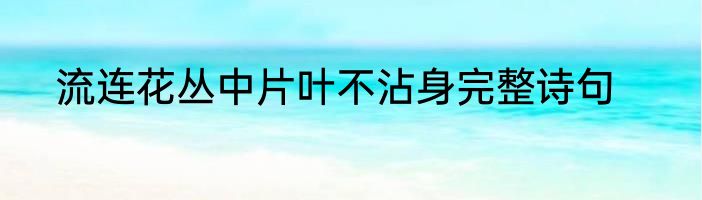 流连花丛中片叶不沾身完整诗句